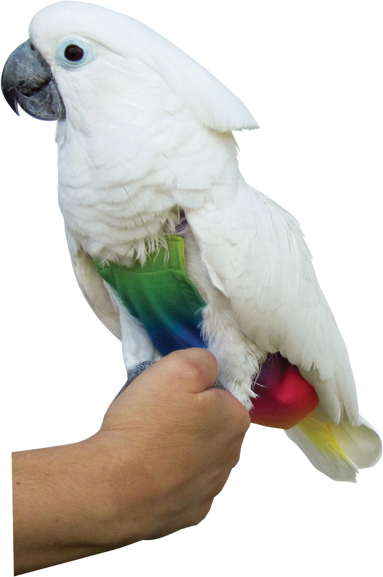 X-Large FlightSuit (Bird Diaper) w/AnchorLine plus Flightliners