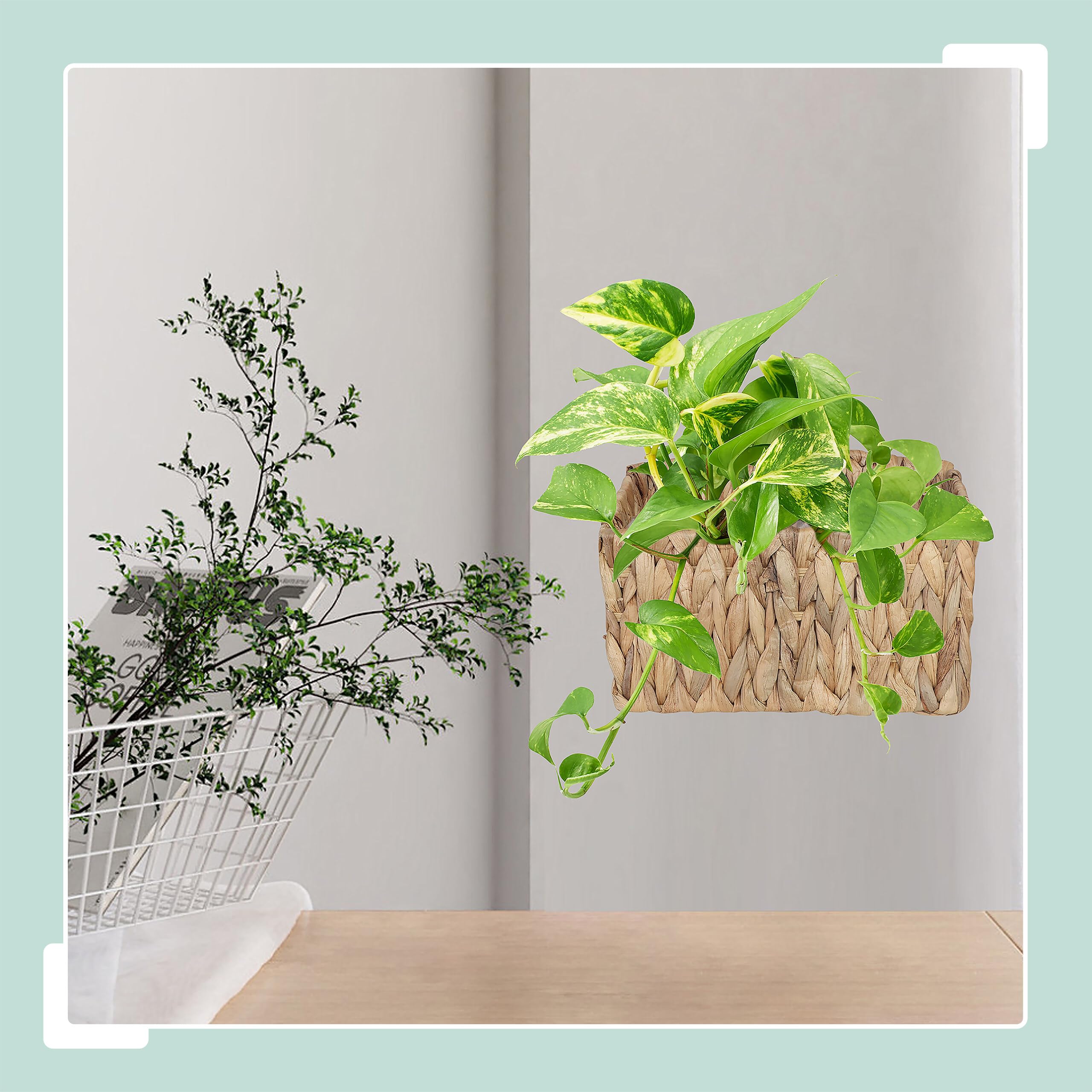 Relaxdays Maceta Colgante de Agua, Hierbas, Plantas, HBT 29 x 28 x 15 cm, Cesta Trenzada, Forro, Anillo, Natural, Fibra Vegetal, Hierro, Plástico
