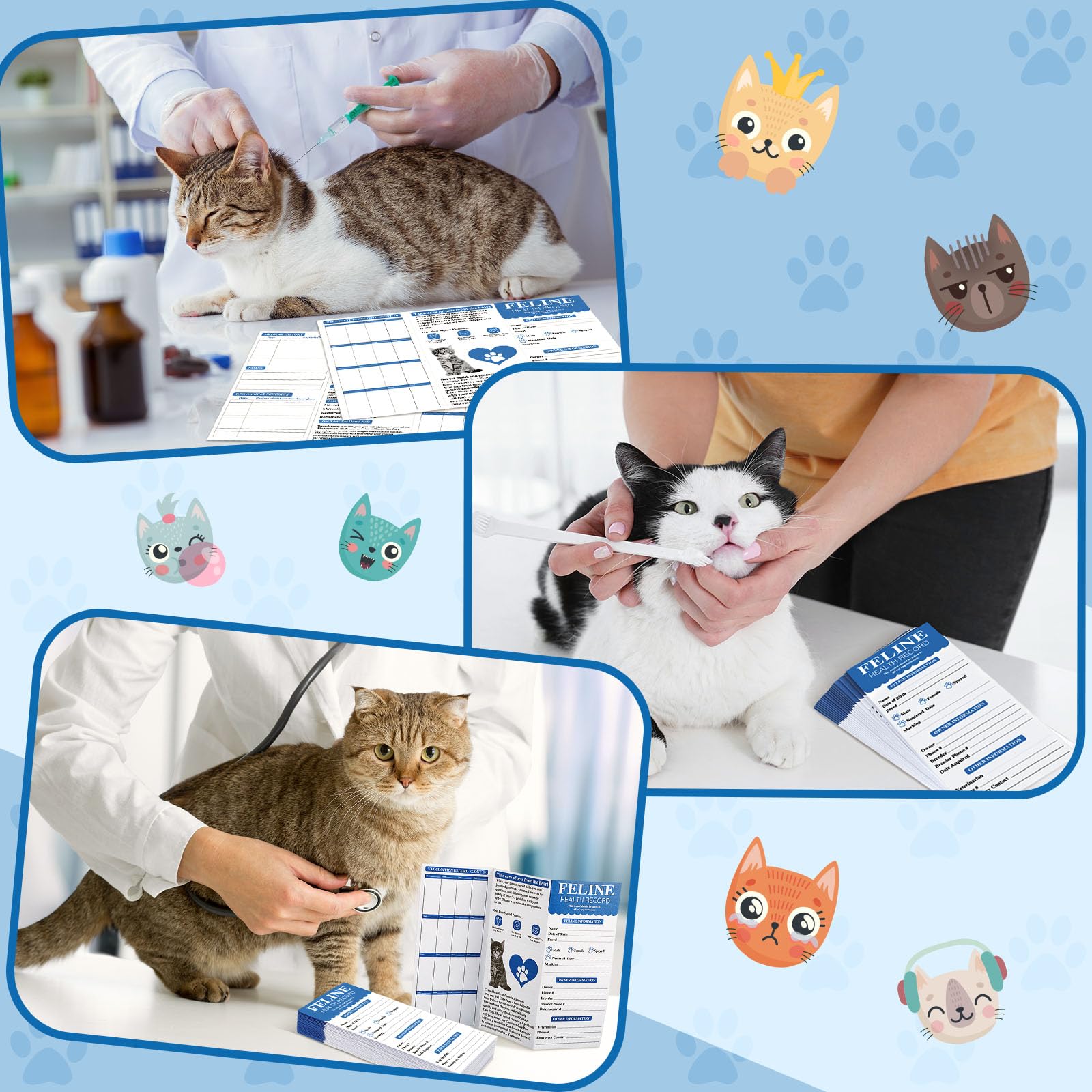 from cat st 10冊 Cats Tomcat Comic Vintage Postcard JZ10 | eBay