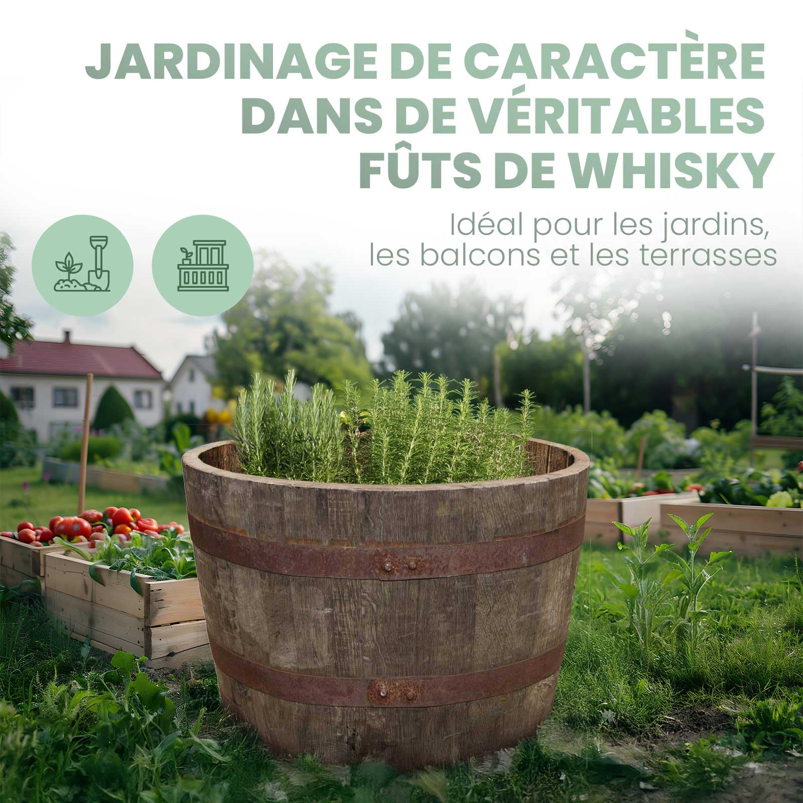 Temesso Demi-tonneau, Pot de Fleur Original d'un Baril à Whisky (Nature sans Extras)