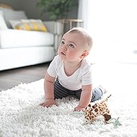 Vista 13 de Dr. Brown's Lovey Pacifier and Teether Holder, 0 Months Plus, Giraffe with Blue Pacifier