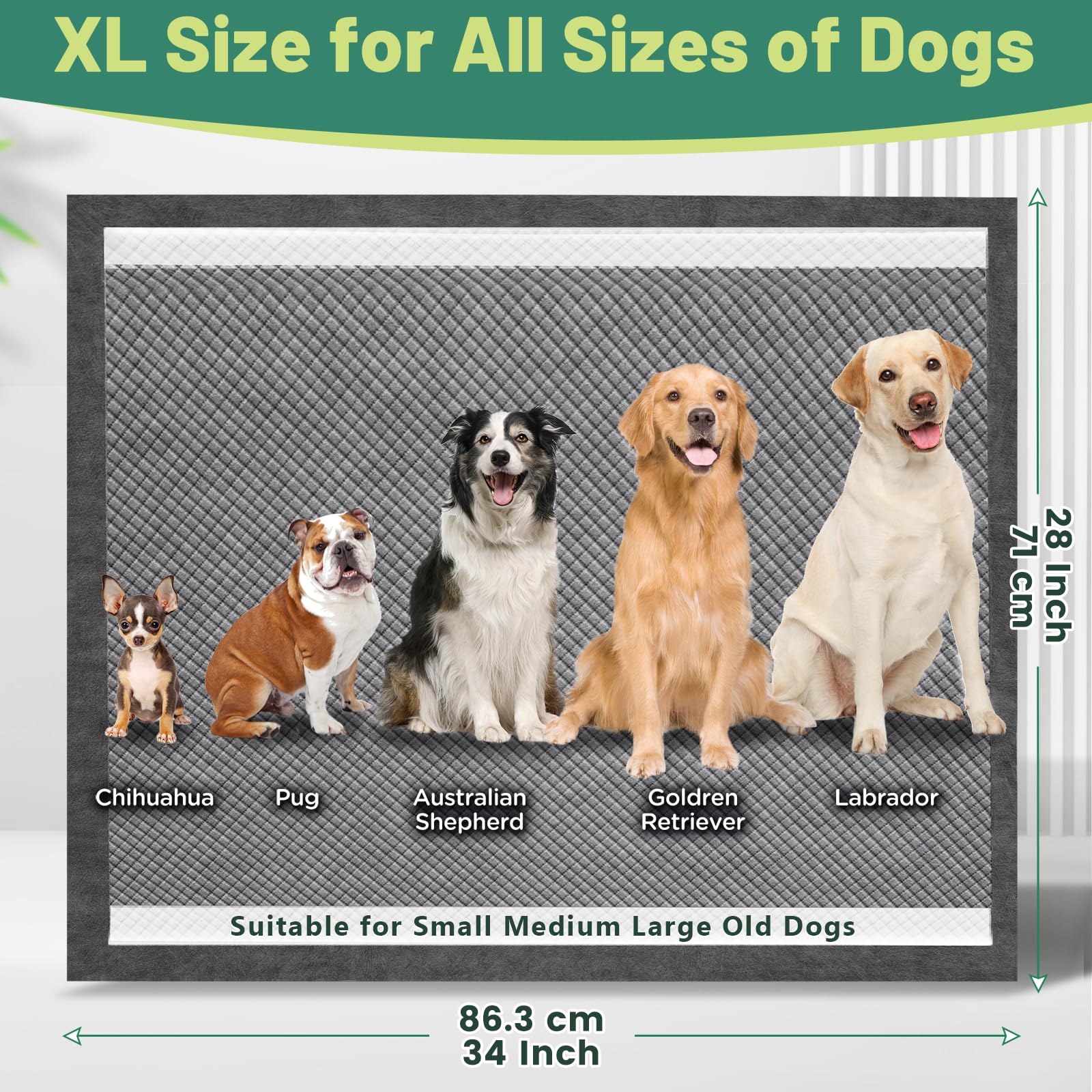 Gimars XL 71,1 x 86,4 cm più spessi e pesanti assorbenti per addestramento cuccioli, 30 conti.