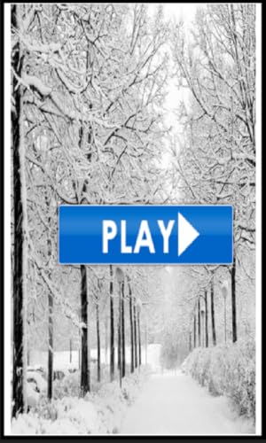 Winter Puzzles