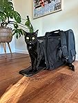 Review Image by Amazon Customer Amazon Customer