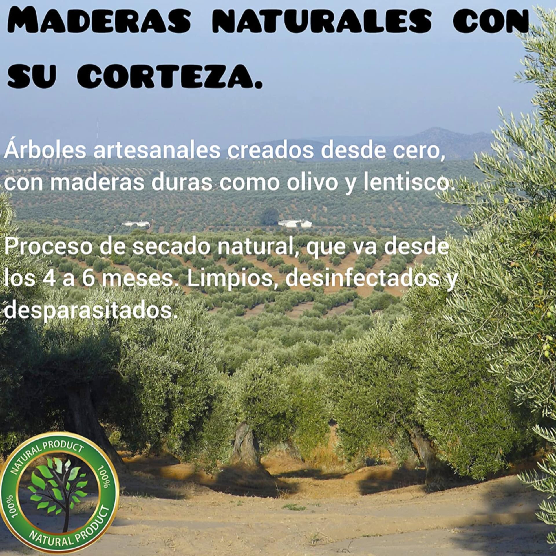 Árboles de sobremesa para loros agaporni, ninfa, juguete antiestrés aves, parque de juegos cotorra, percha libre de jaulas con comedero de pájaros, accesorios lima picos, CALIDAD PREMIUM. (C)