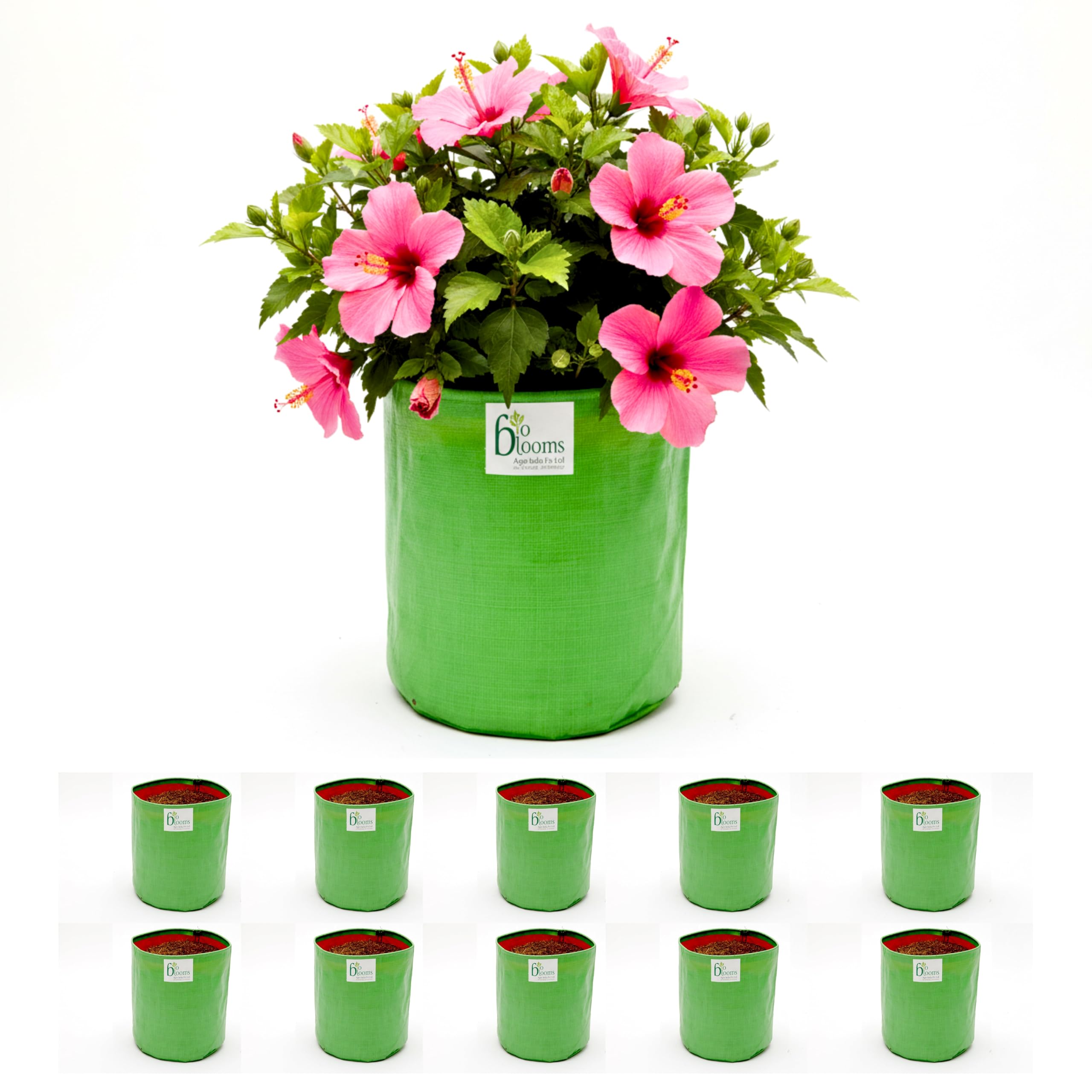 BIO BLOOMS AGRO INDIA PRIVATE LIMITED HDPE Grow Bags 9X9 Inch | Pack of 10 | Dual Color Green & Orange | Strong Stitching | Terrace Balcony Garden Use | Portable Lightweight Durable Outdoor Planters