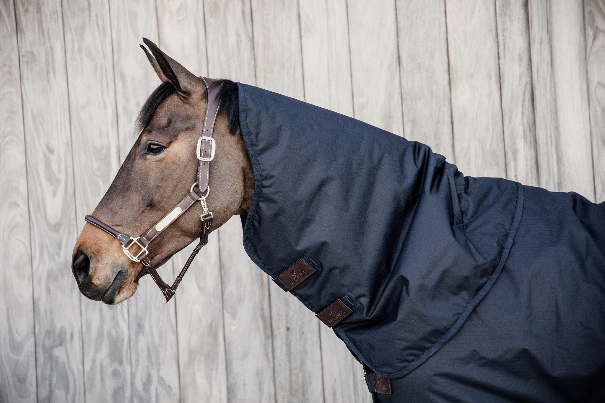 Kentucky Manta Impermeable para Caballos All Weather - Classic 0 g