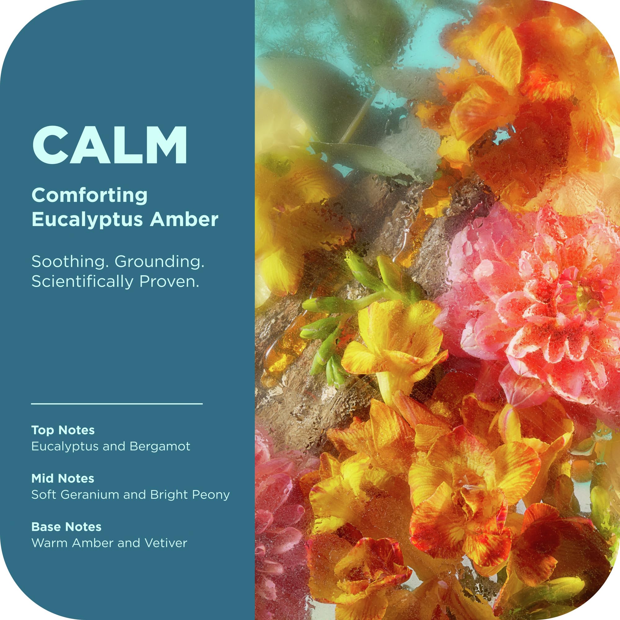 OLLY Calm Body Lotion-Serum with Hyaluronic Acid, Adaptogens & Vitamin B3– Nourishing Cleanser for Skin Barrier Repair, Deep Hydration, Eucalyptus Amber Scent, 8oz