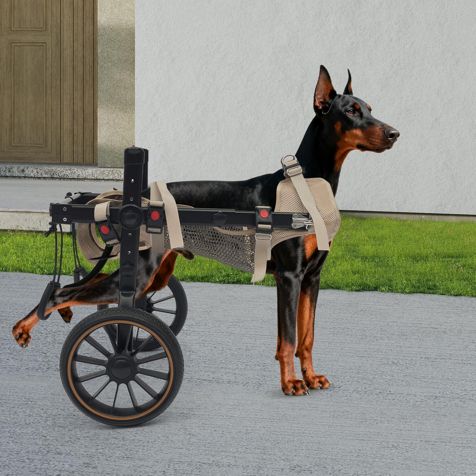 Silla de ruedas para perros XL, silla de ruedas de aluminio para perros grandes, silla de ruedas de perro ajustable, patas traseras, ruedas de goma antivibración, tejido de malla