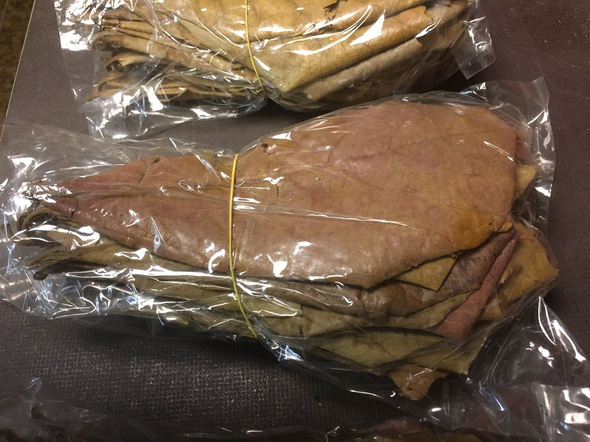 Foglie Di Catappa 14 Pezzi AQUAYA ZOLUX - Foto 8