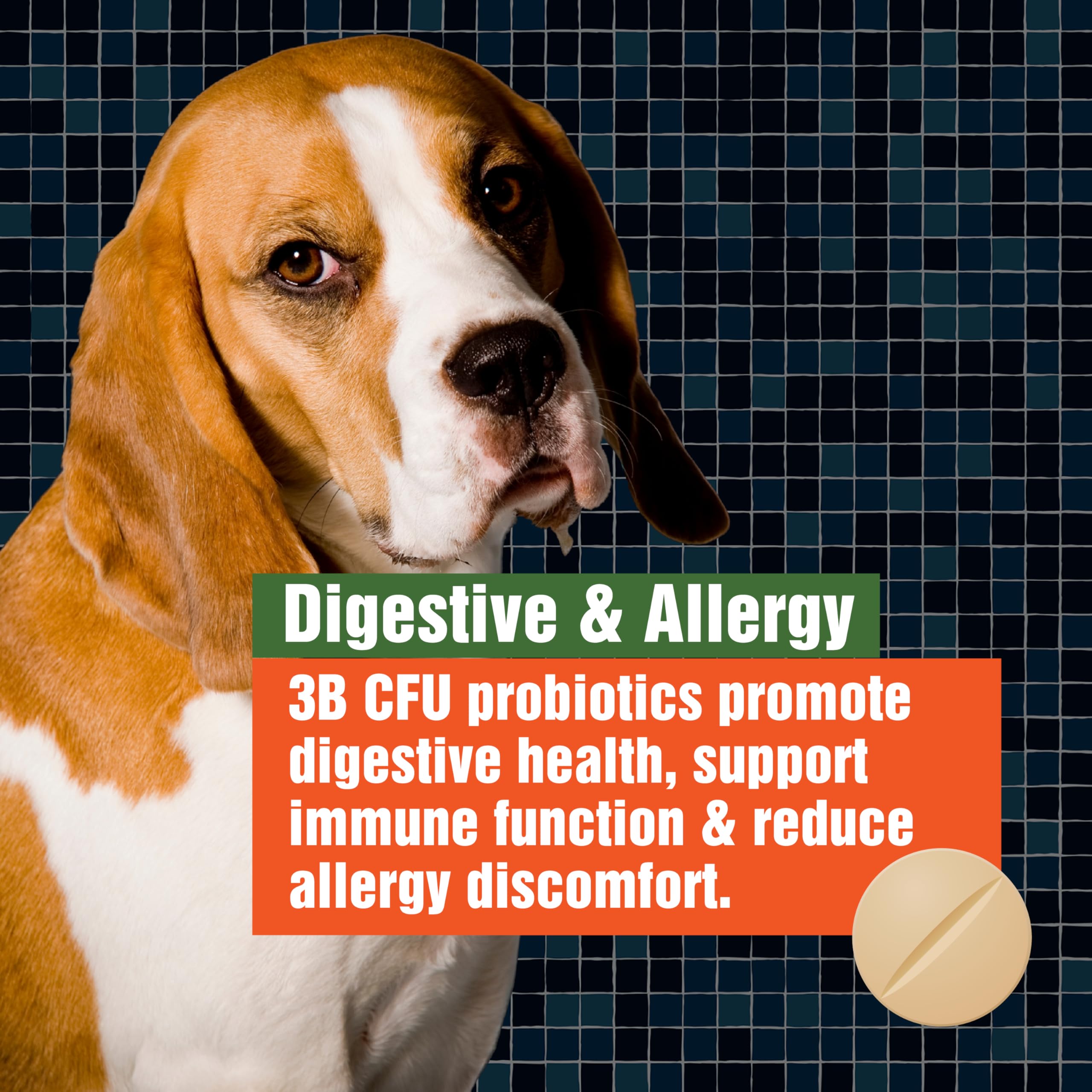 Army Soldier Owned Dog Probiotics for Yeast, Itchy Skin & Itchy Ears, Dog Allergy Relief, Digestive Health, Occasional Diarrhea & Immune Support, 3 Billion CFU, 60 Yummy Chewables — Amazon image 5