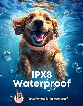 Shock Collar for Dogs with Remote, 4200FT Range, Fits 5-120 lbs | Electric E Collar with IPX8 Waterproof, 4 Modes, Security Lock, Rechargeable & Adjustable for Small, Medium & Large Dogs