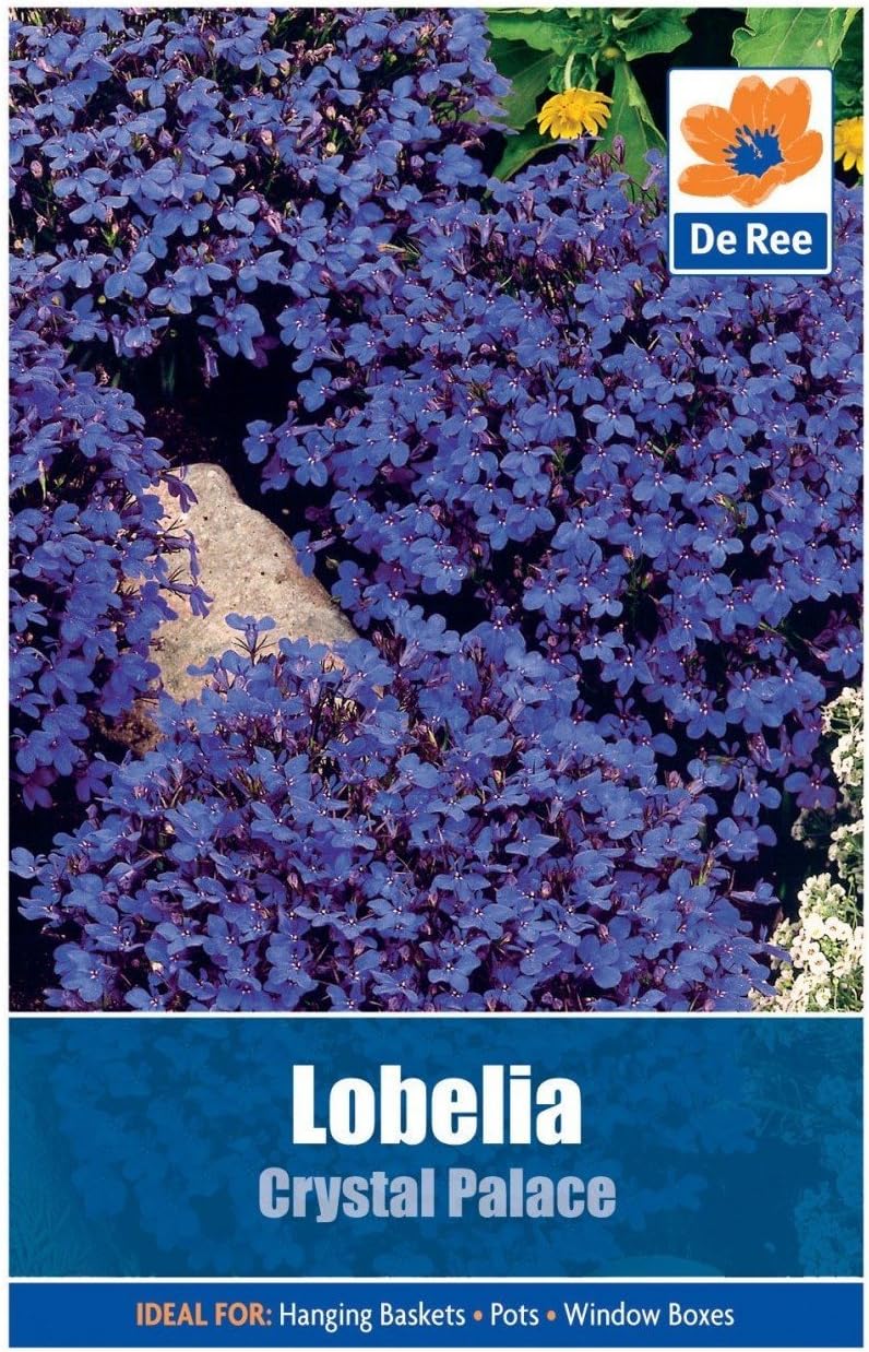 Lobelia Crystal Palace Seeds