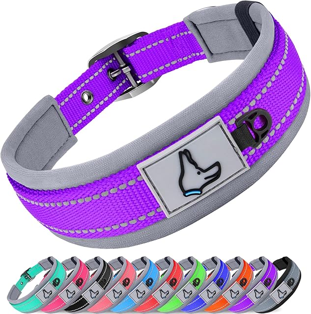 Joytale Reflective Dog Collar, Ultra Comfy Soft Neoprene Padded, Adjustable Heavy Duty Nylon Pet Collars with Metal Belt Buckle for Small Dogs, Purple
