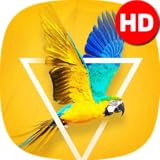 Beach Live Wallpaper HD Background Island 3D