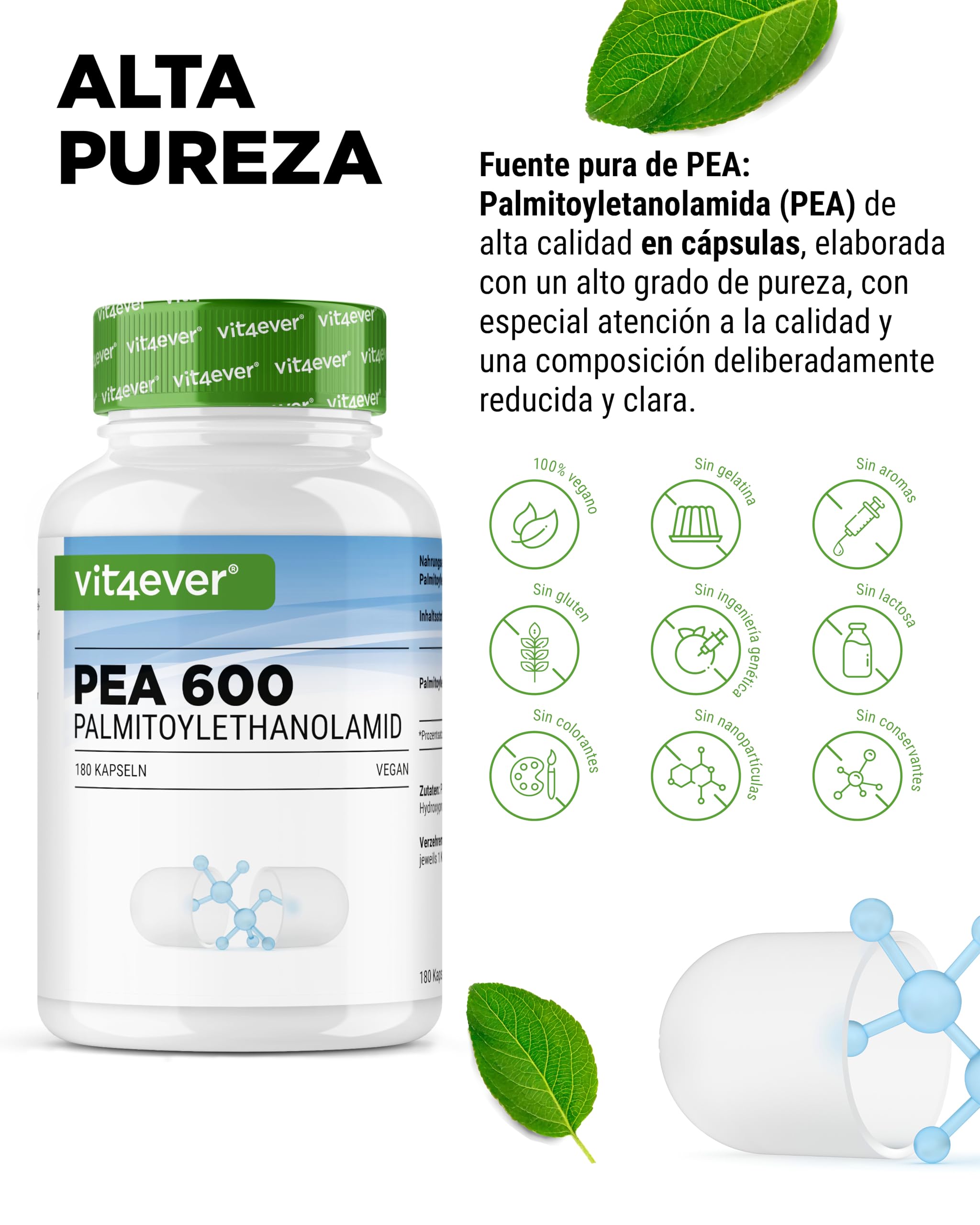 vit4ever PEA 600-180 Cápsulas veganas | 1200 mg de Palmitoiletanolamida Micronizada por dosis diaria - Alta dosis - Sin aditivos - Vegano
