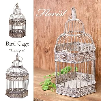 Amazon.co.jp: フローリストバードケージ【ヘキサゴンSET2