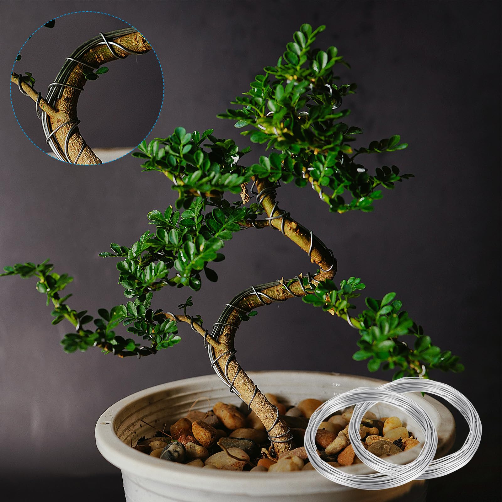 Filo Per Bonsai 2.5mm In Alluminio Anodizzato - 10m Per Modellare Rami E Piante, Nero - Foto 5