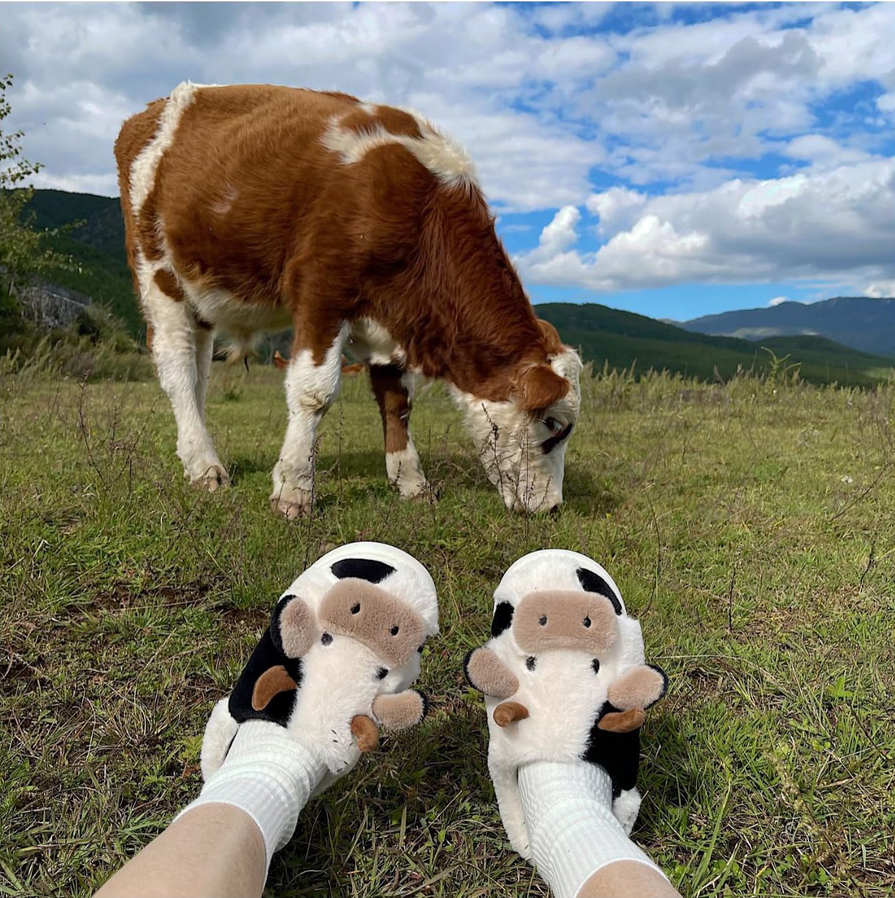 Chaussons Femme Homme Pantoufles de Vache Hiver Chaude Peluche Fourrure Confortable Cartoon Animaux Chaussures Doublure Antidérapantes Intérieur/extérieur