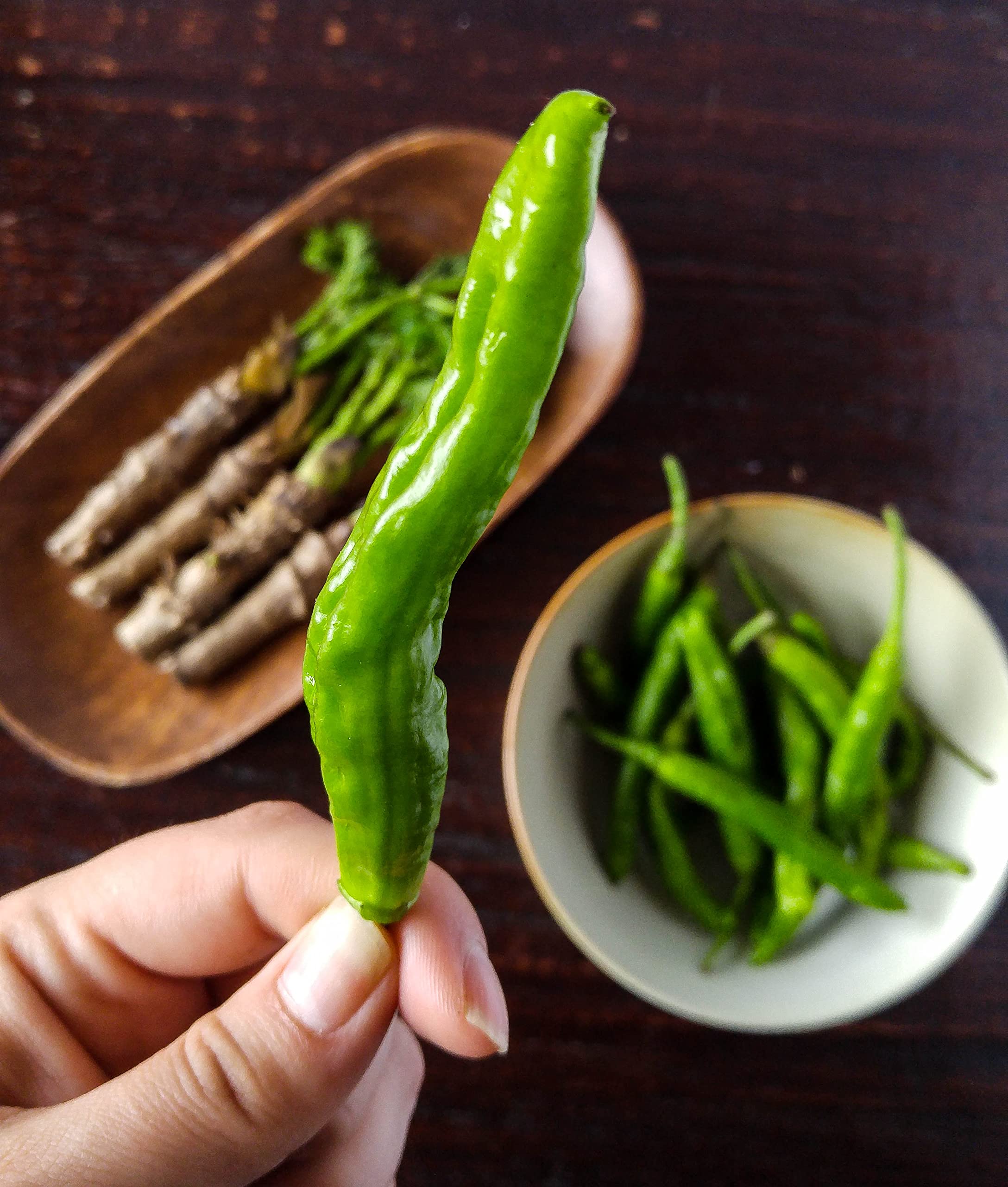 クロトン ミセスアイストン 6号 Amazon.com: Shishito Sweet Wrinkled Old Man Pepper Plant - 2.5