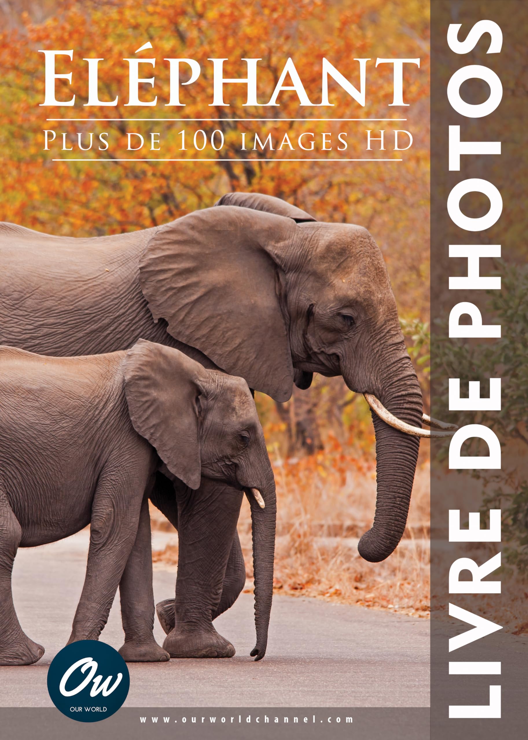 Livre de Photos d'Éléphant : Album d'Art Grand Format pour Collectionneur