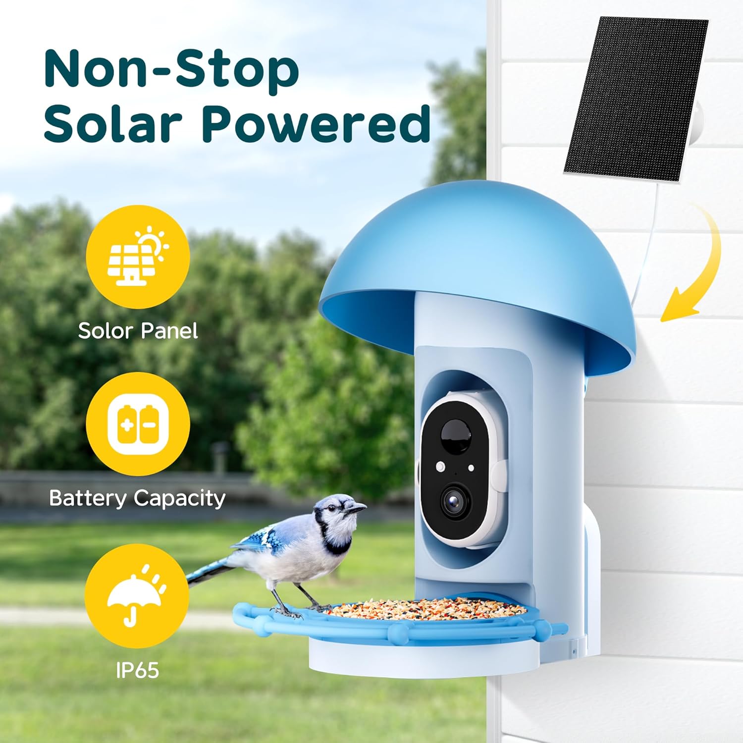 Bird Feeder with Camera, Smart Bird Feeder Camera Solar Powered with 1080P HD AI Identify, Cloud Video & Motion Detection for Birdwatching
