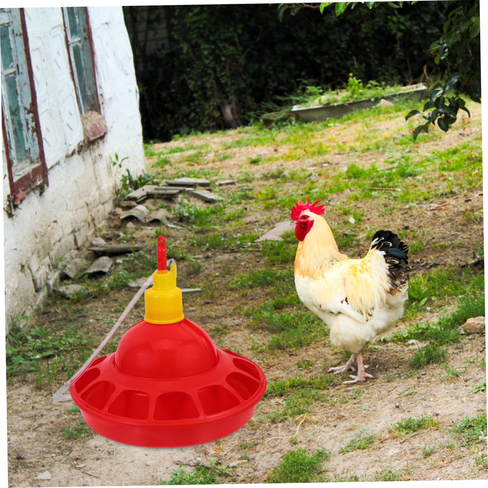 Toyvian Abbeveratoio Automatico per Pollame e Pappagalli in Pp Rosso Design Unico, Materiale Stabile e Facile da Pulire, per Negozi di Animali e Zoo