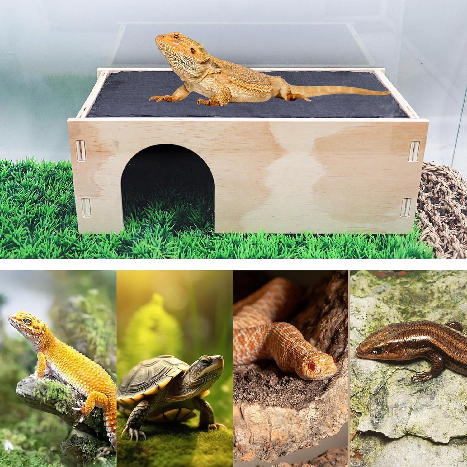 2-in-1 Bartagamen-Sonnenterrasse mit Versteck, Schiefersteine für Reptilien mit Basis, Verstecke und Höhlen für Leopardgeckos, Terrarien-Zubehör für Bartagamen, Geckos, Ball-Pythons, Schildkröten