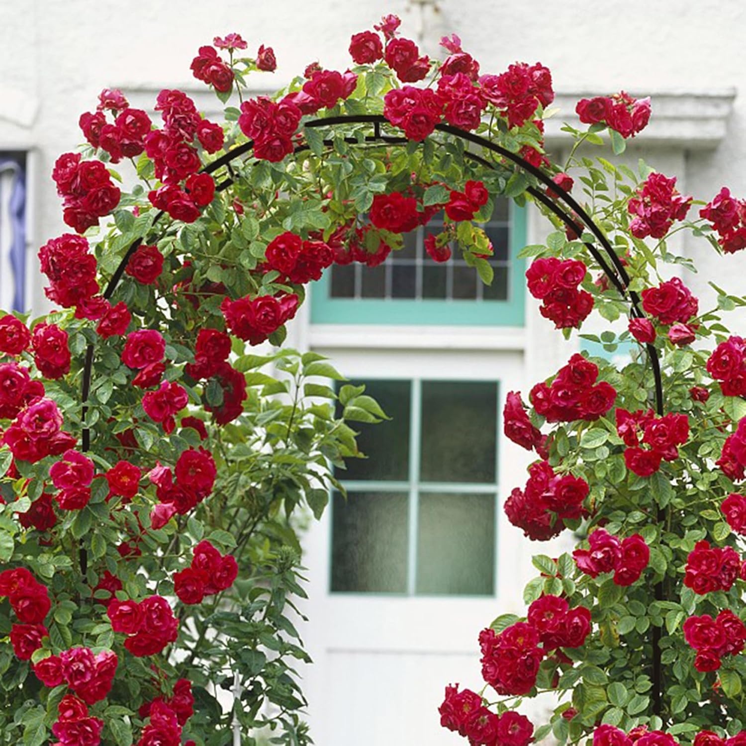 Metal Garden Arch Trellis, Outdoor Adjustable Arbor Trellis for Garden Climbing Plants Support or Wedding Decor