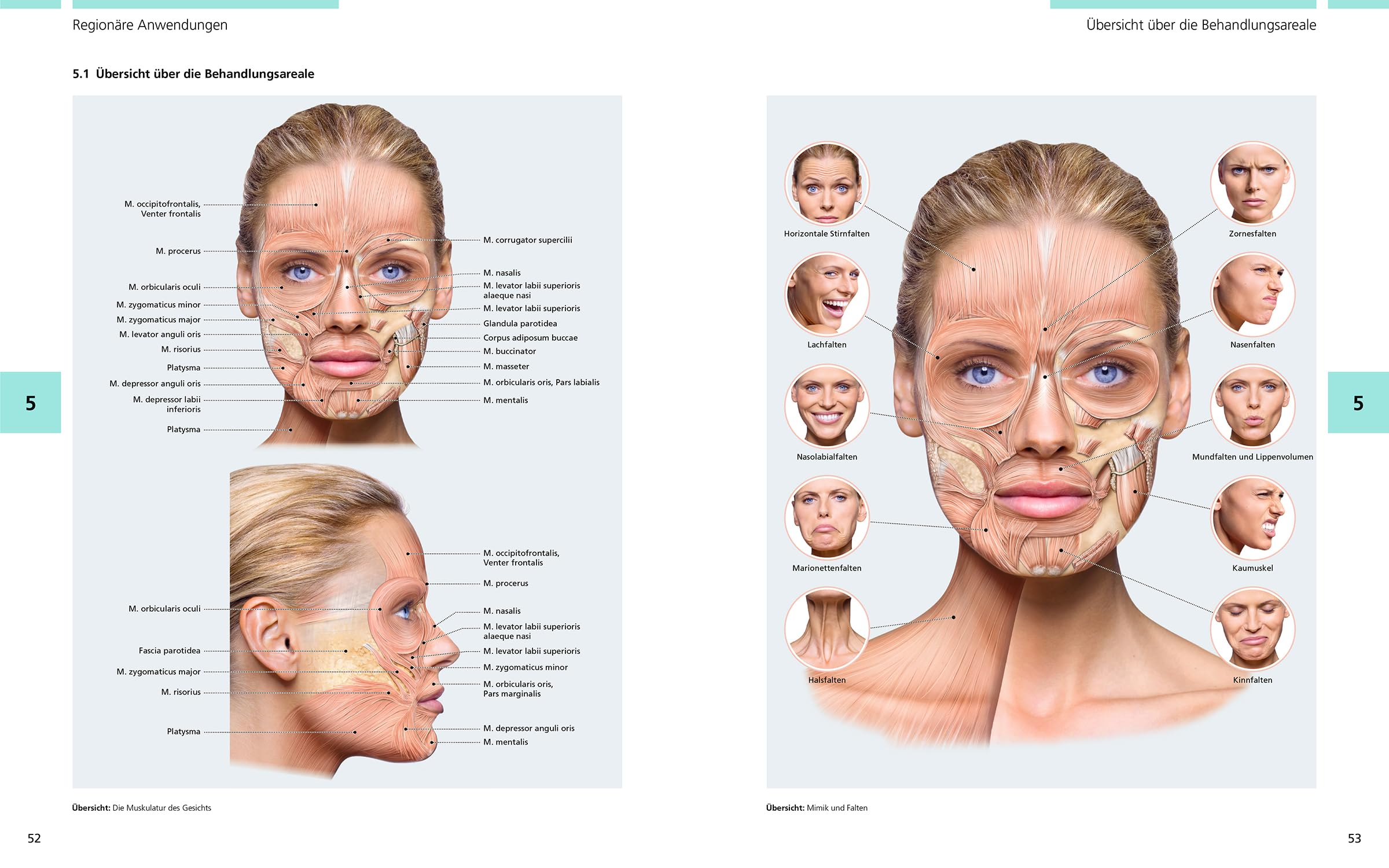 Bildatlas der ästhetischen Botulinumtoxin-Therapie: Dosierung | Lokalisation | Anwendung