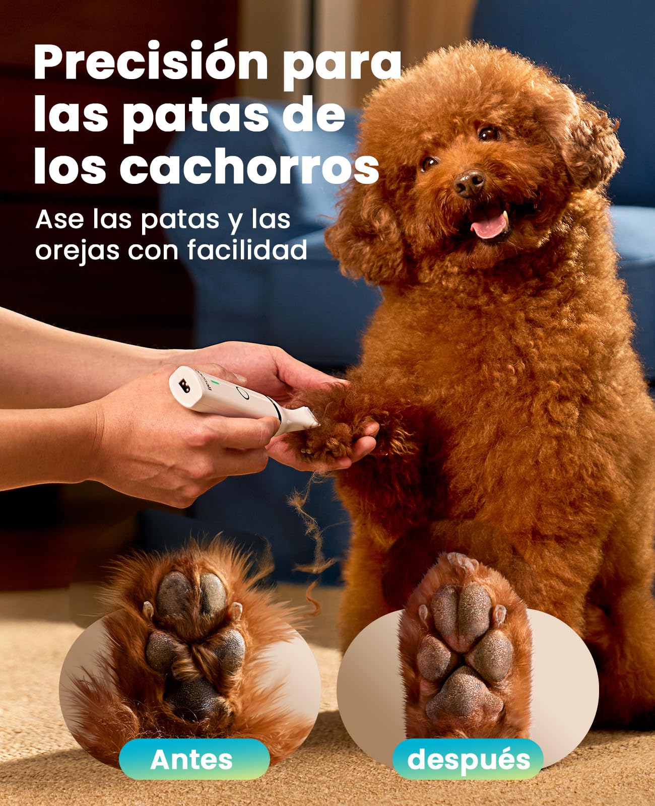 oneisall Cortapelos para perros bajo nivel de ruido para recortar el pelo de perro alrededor de las patas, los ojos, las orejas, la cara y el rump (Blanco)