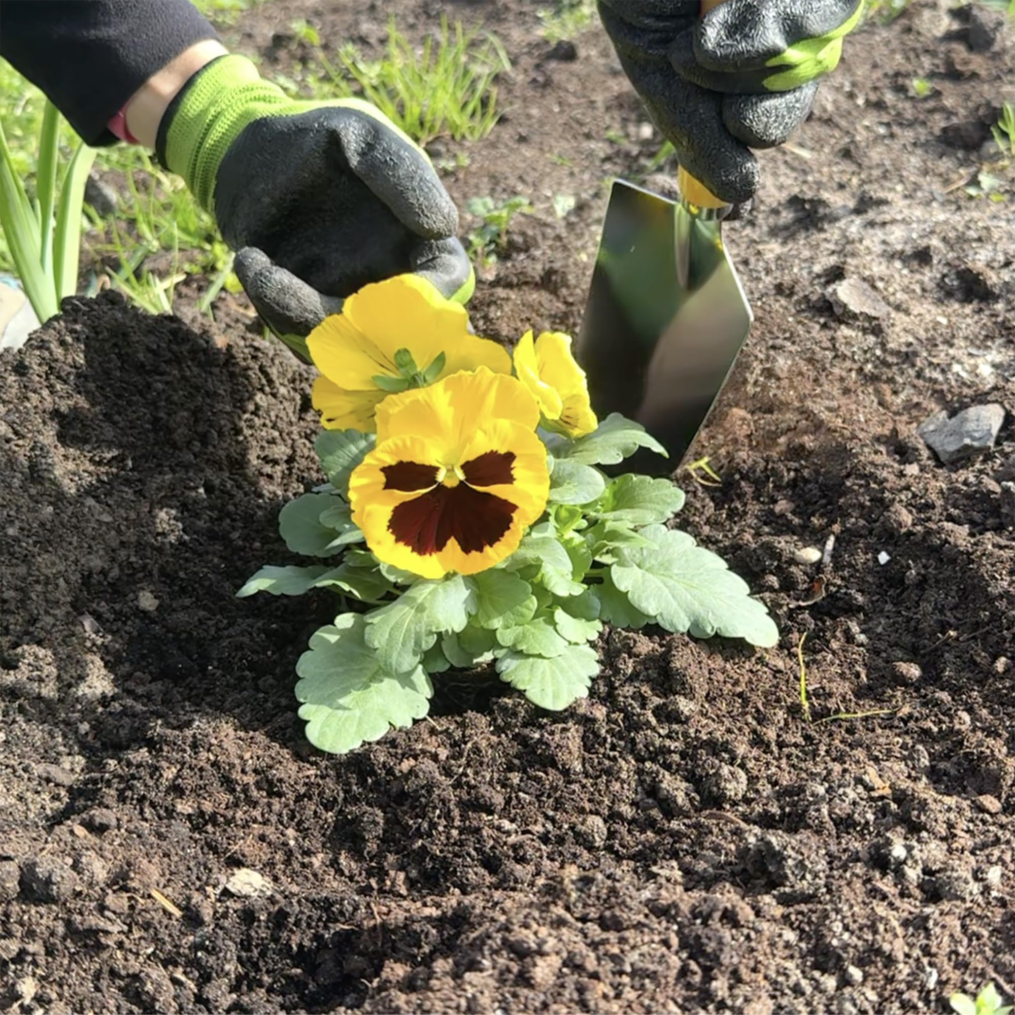 BIKAIN - Herramientas de Jardinería - Taburete Plegable + Bolsa + Herramientas - Kit de Jardinería - Bolsa de Almacemiento con Cremallera - Incluye 5 Herramientas con Mango de Madera