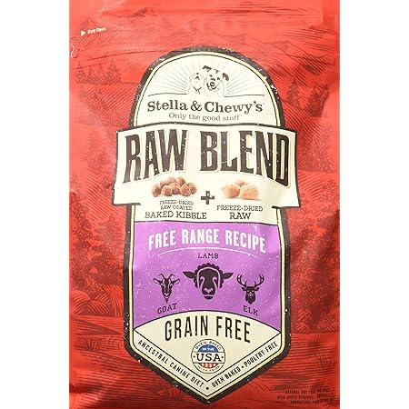 rocket ship hamster cage