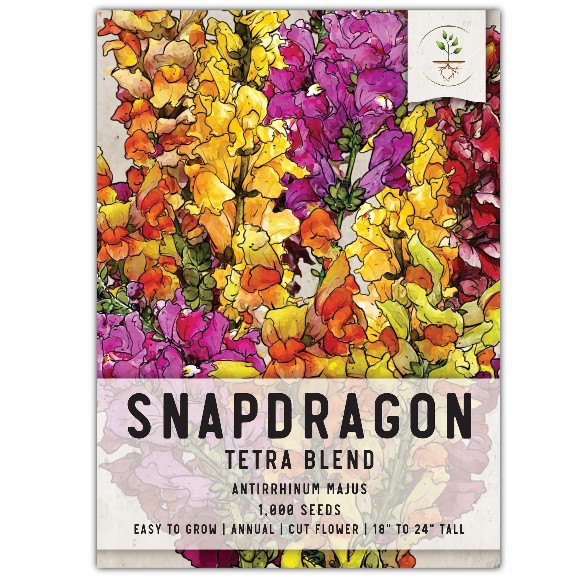 Seed Needs, Mixed Tetra Snapdragon Seeds - 1,000 Heirloom Seeds for Planting Antirrhinum majus - Annual Flowers to Attract Butterflies, Bumblebees, Honeybees & Other Pollinators (1 Pack)