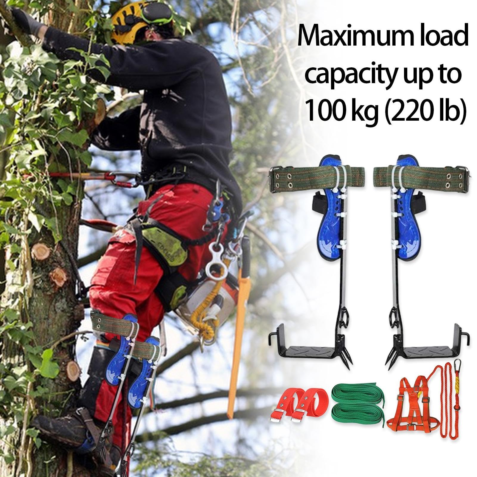 Kit di attrezzature per arrampicata su alberi, speroni per arrampicarsi su alberi, attrezzi da lavoro per alberi con punte regolabili per arrampicata su pali - Attrezzatura da arrampicata con