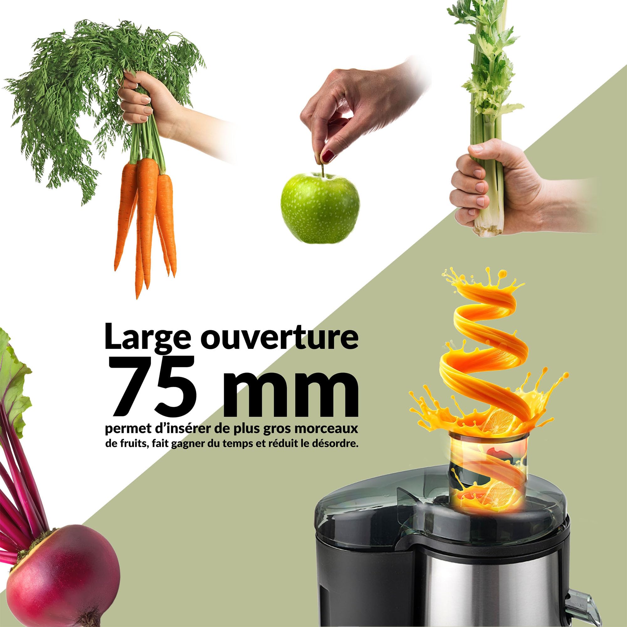 LEHMANN Centrifugeuse Extracteur de Jus, Préparation Rapide, Goulotte large de 75mm, Récipient à Pulpe 1,5L et Récipient à Jus 450ml, 2 Vitesses, Machine à Jus pour Légumes et Fruits