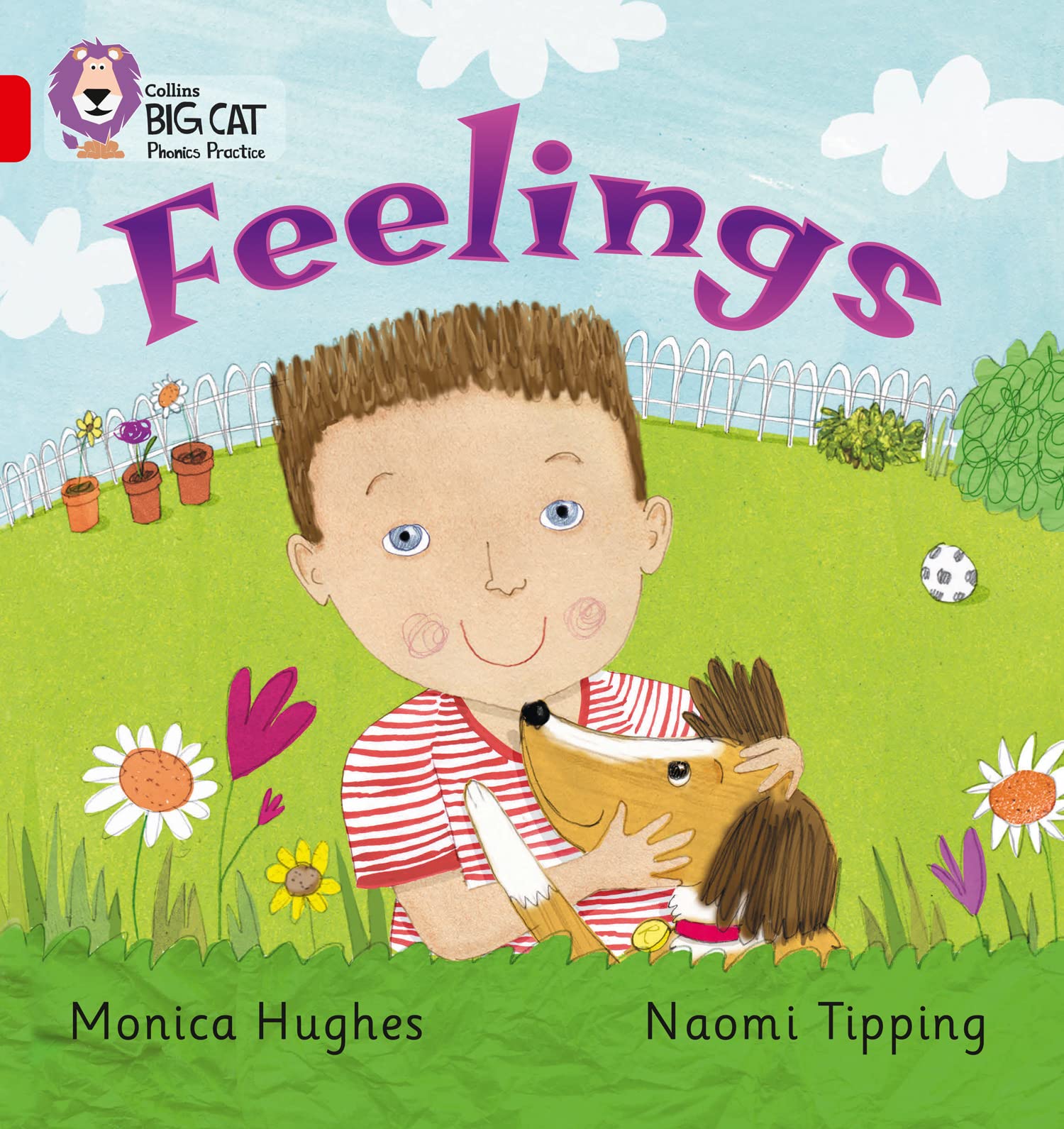 Feelings by Monica Hughes, Naomi Tipping,  Collins Big Cat - 9780007235926