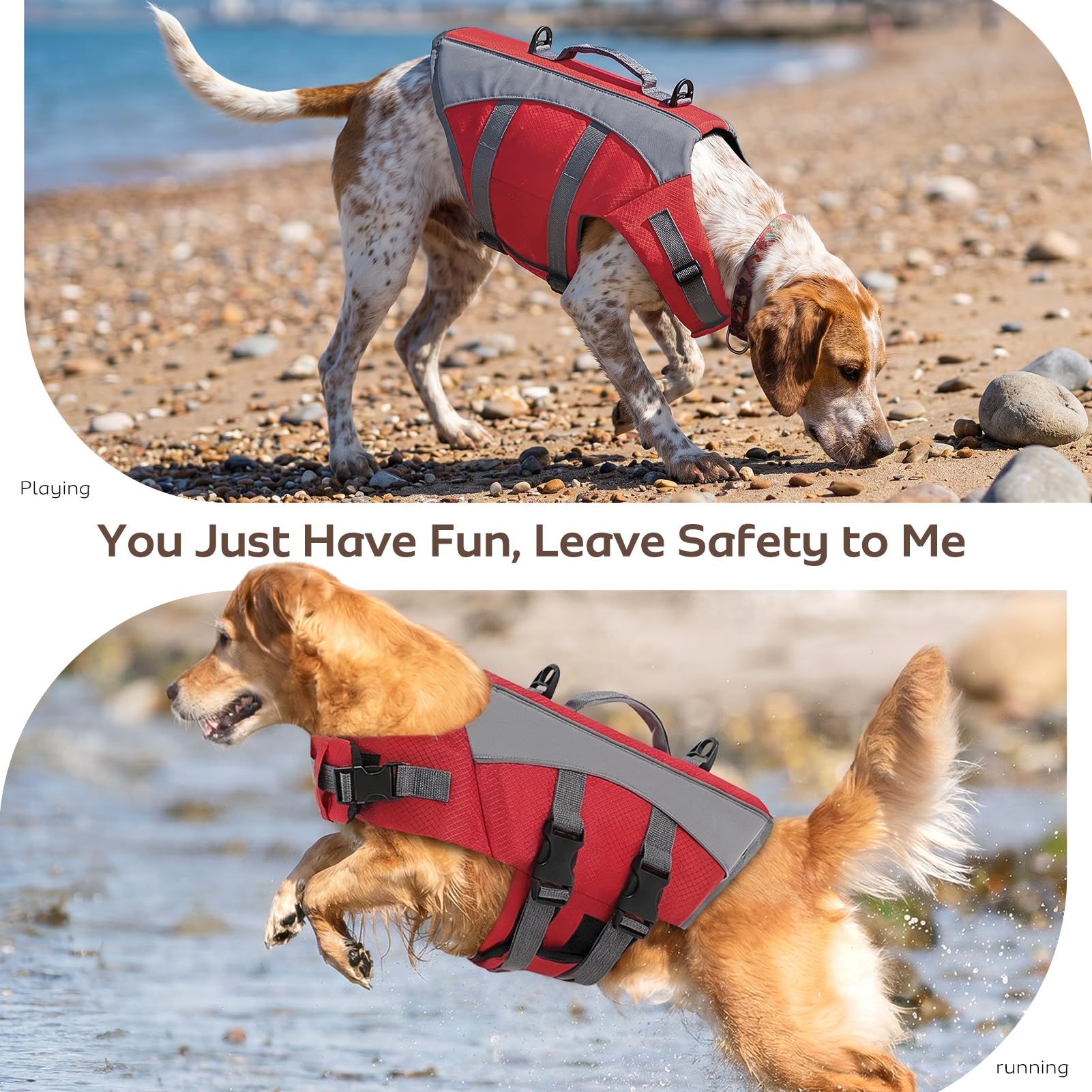 CITÉTOILE Chaleco Salvavidas para Perros - Chaleco Reflectante Flotante con Asa, Flotadores y Correas Ajustables para Seguridad en Agua, Piscina, Rojo, XXL