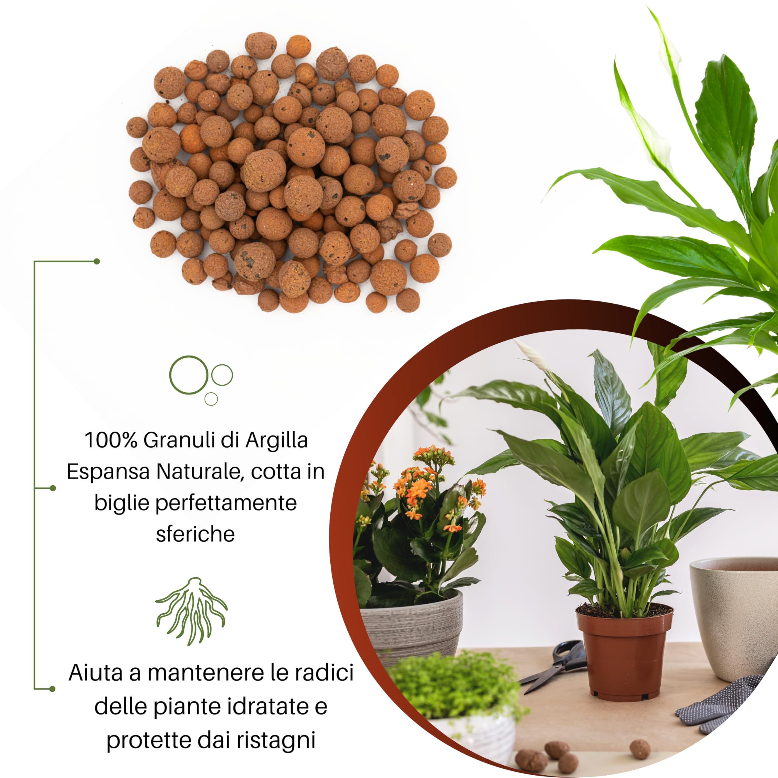 GebEarth® - Arcilla Expandida para Plantas en Maceta de 3 litros, pH controlado para Uso Profesional, Arcilla esférica Ideal también para Cultivos Semi-hidropónicos, Acolchado y decoración [1500g].