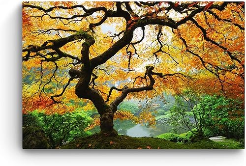 Miniatura 3 de Startonight Lienzo decorativo para pared, árbol de arce, marco natural, 32 x 48 pulgadas