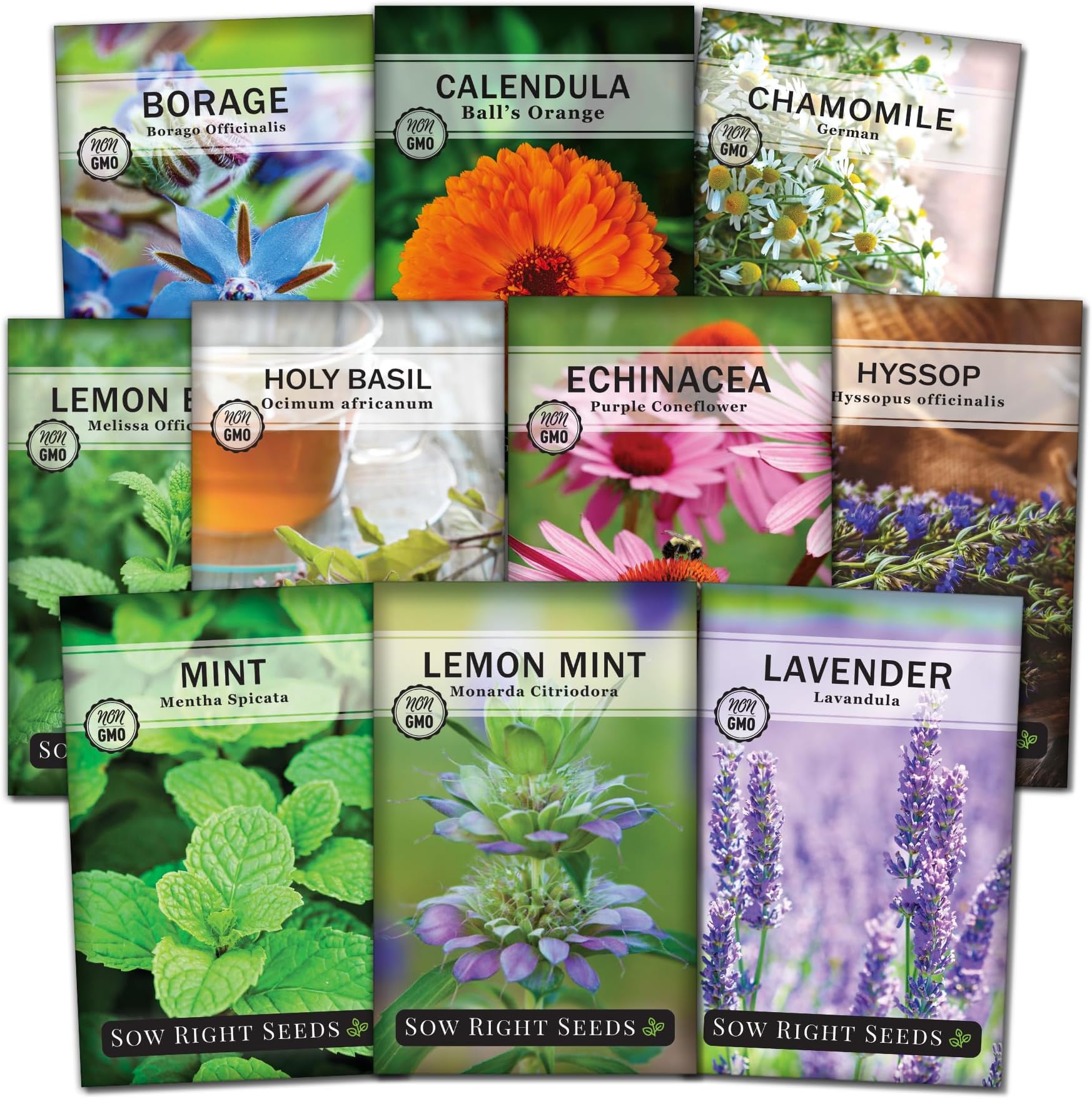 Sow Right Seeds - Large Herbal Tea Garden Seed Collection for Planting - Lemon Balm, Mint, Chamomile, Lavender, Echinacea, Borage, Hyssop, Calendula, and Holy Basil Tulsi - Non-GMO Heirloom to Grow
