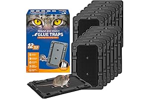 LULUCATCH Ratones y Insectos Trampas de Pegamento, Paquete de 12 Trampas de...