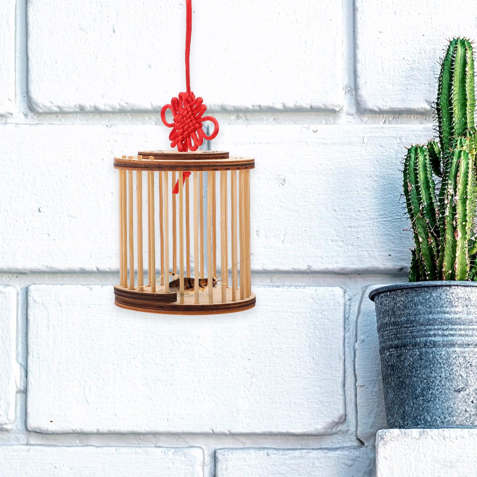 TOYANDONA Jaula de Madera para Grillos y Transporte Ligero y Estable para Mascotas Insectos para Aficionados la Exploración Natural