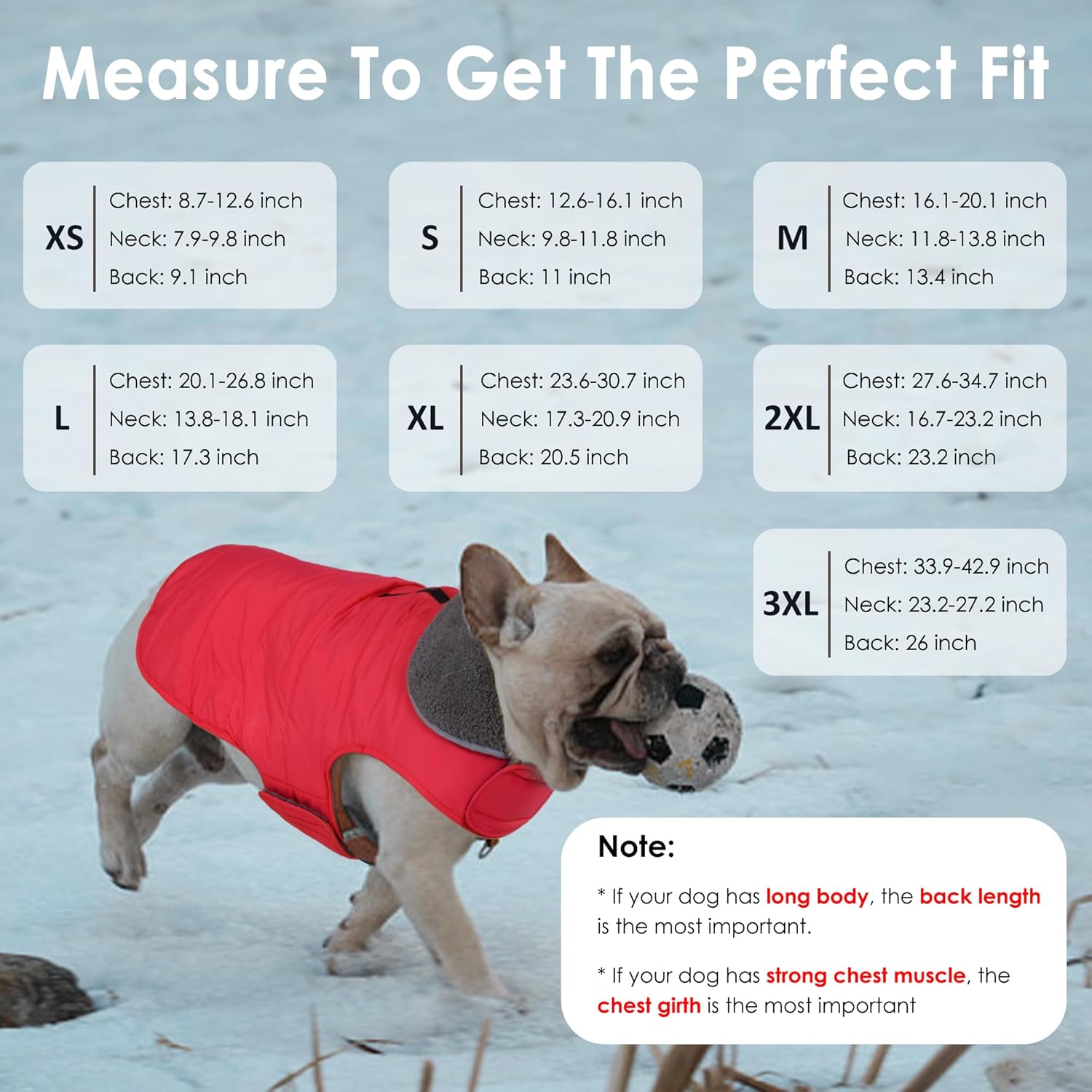 Petglad Dog Winter Coat, Waterproof Dog Jacket with Leash Hole, Reflective Adjustable Pet Snow Vest, Warm Fleece Sweater for Small Medium Large Dogs - Red, XS