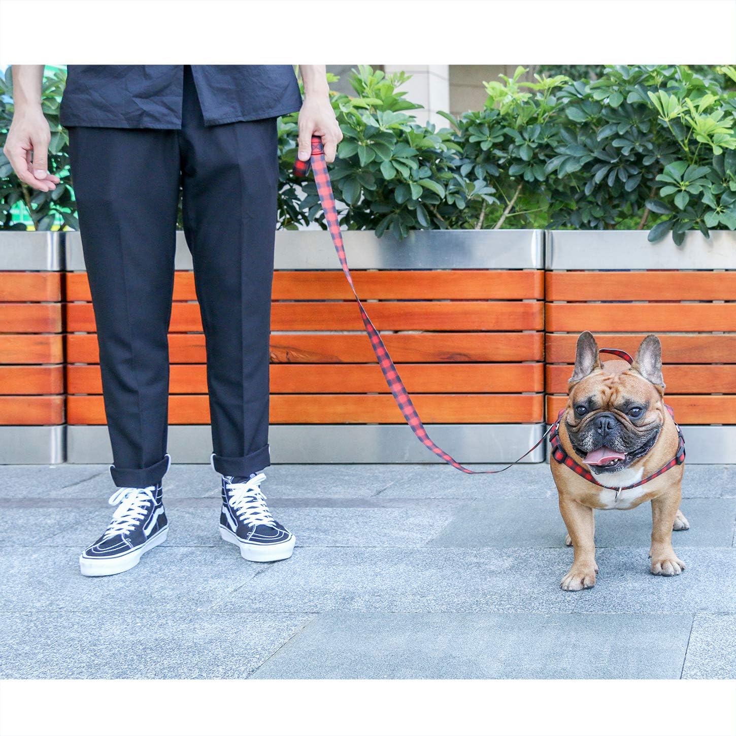 iChoue French Bulldog Harness and Leash Set Adjustable Locked Buckle with Handle for Frenchie Pug English Boston Terrier Dogs, Red Grid, Medium