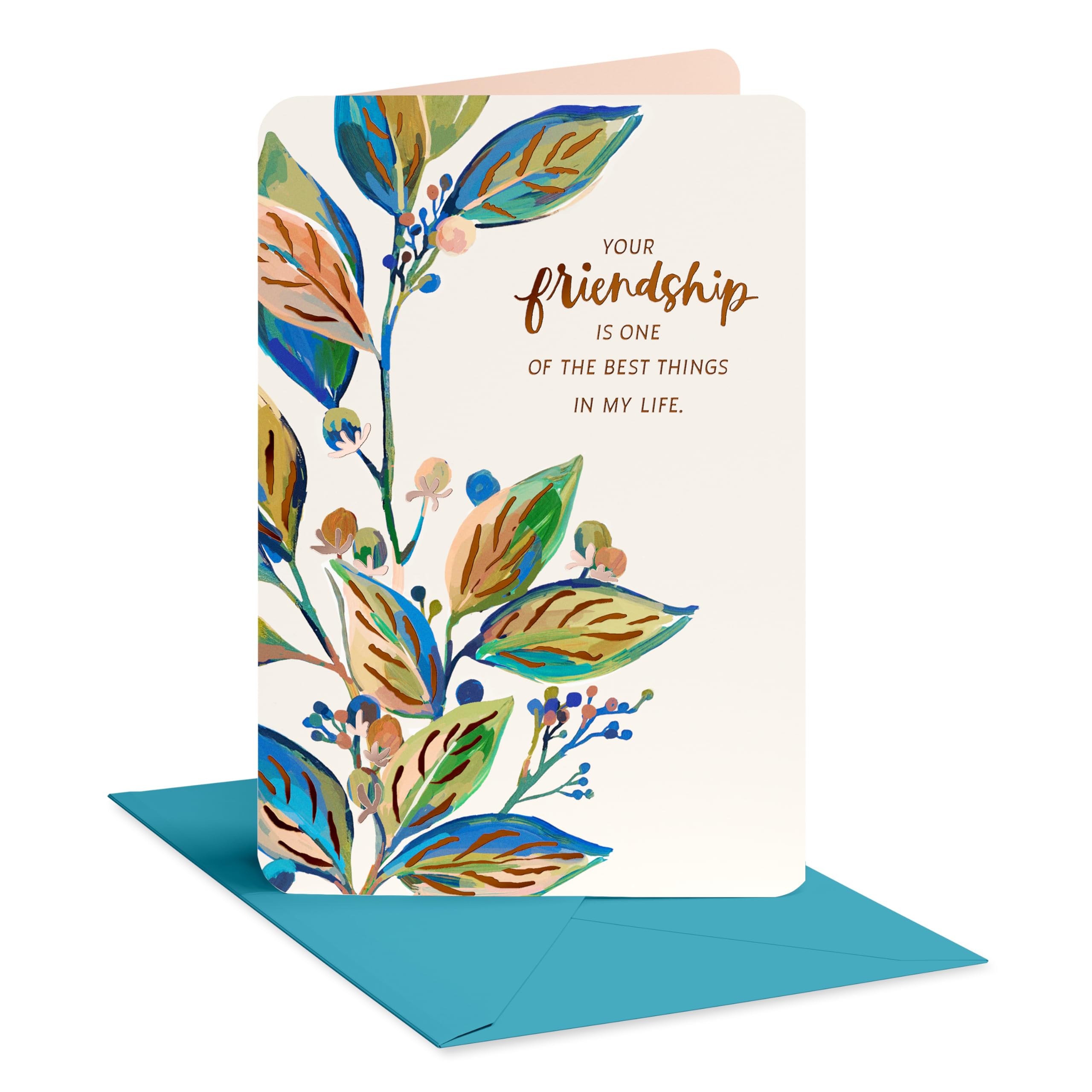 American Greetings Friendship Thank You Card, Appreciation Card for Friend (How Important)