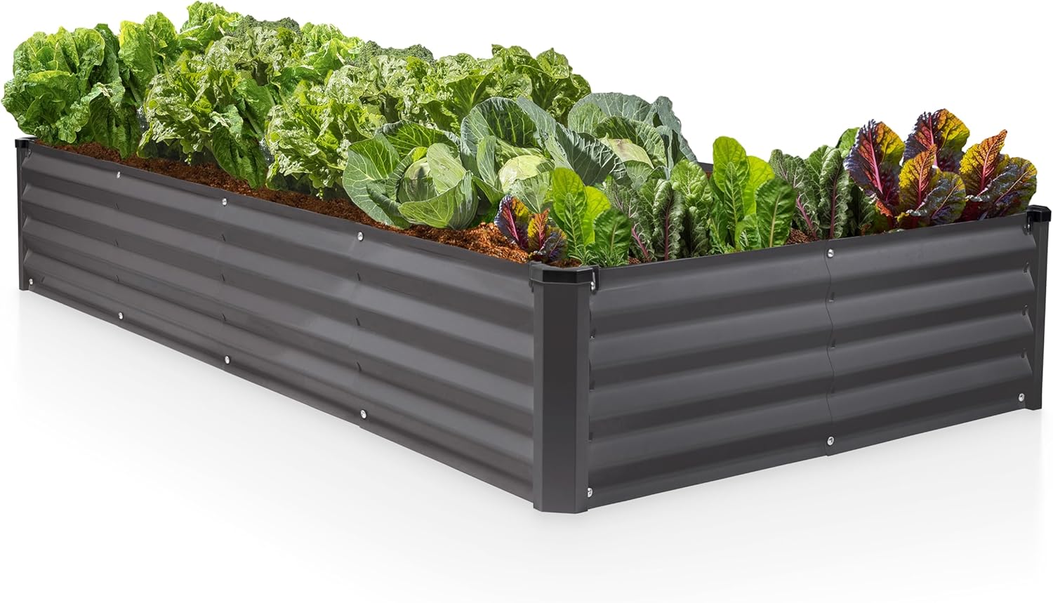 Galvanized Raised Garden Beds Outdoor // 8×4×1 ft Planter Raised Beds for Gardening, Vegetables, Flowers // Large Metal Garden Box // Patented Tool-Free Design (Dark Gray)