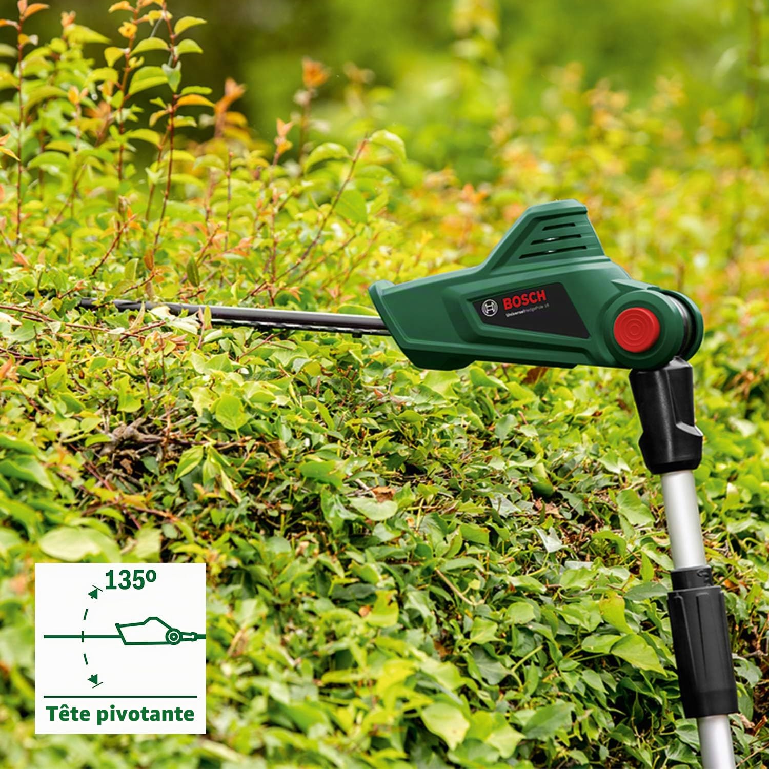 Bosch UniversalHedgePole 18 taille-haies télescopique sans fil 18V
