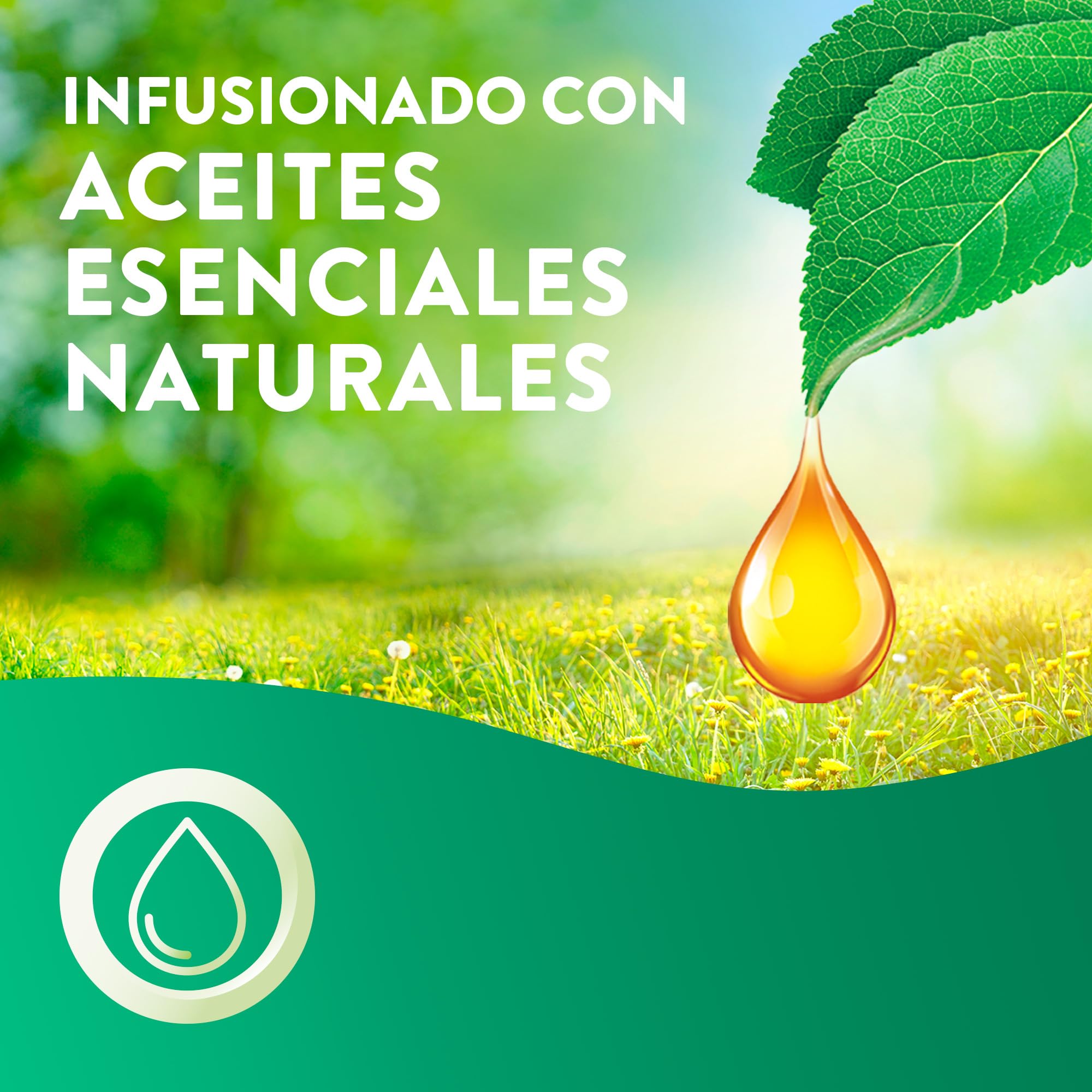 Air Wick Essential Mist - Recambio de Ambientador Difusor de Aceites Esenciales con Aroma a Flor de Cerezo & Frambuesa, 12 x 20ml