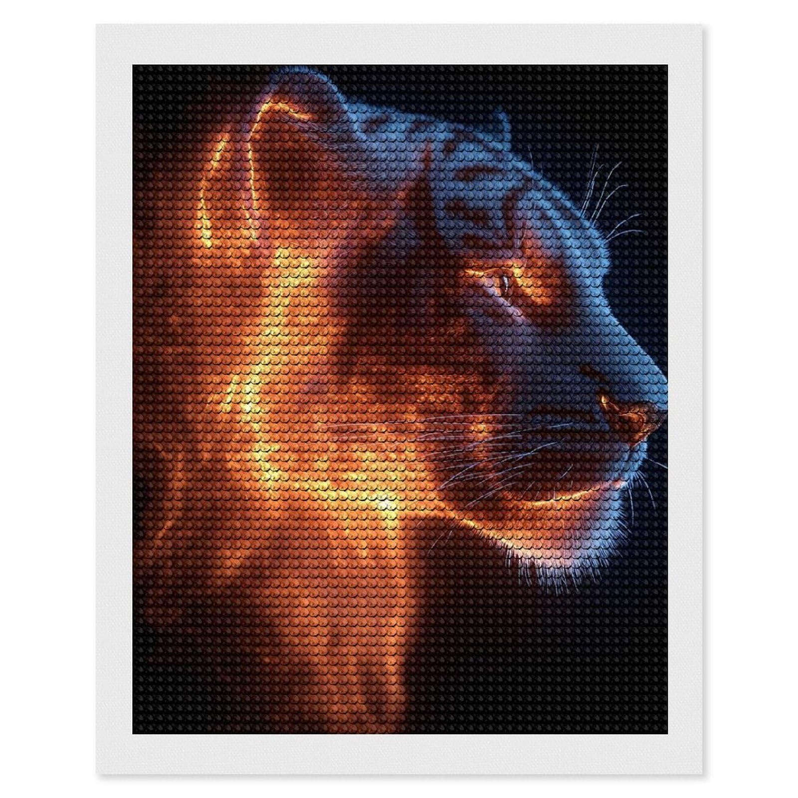 Junmoney Fiery Tiger Portrait on Black Background Diamond Painting Canvas Set 16"x20", Mindful Craft Activity, Nice Detail and Sparkle, Farmhouse Decor, Birthday Gift